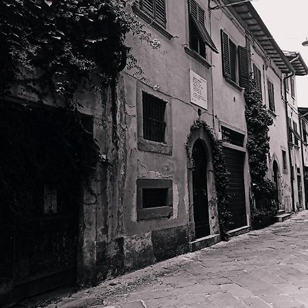 Dimora Coccapani Pisa Exterior foto